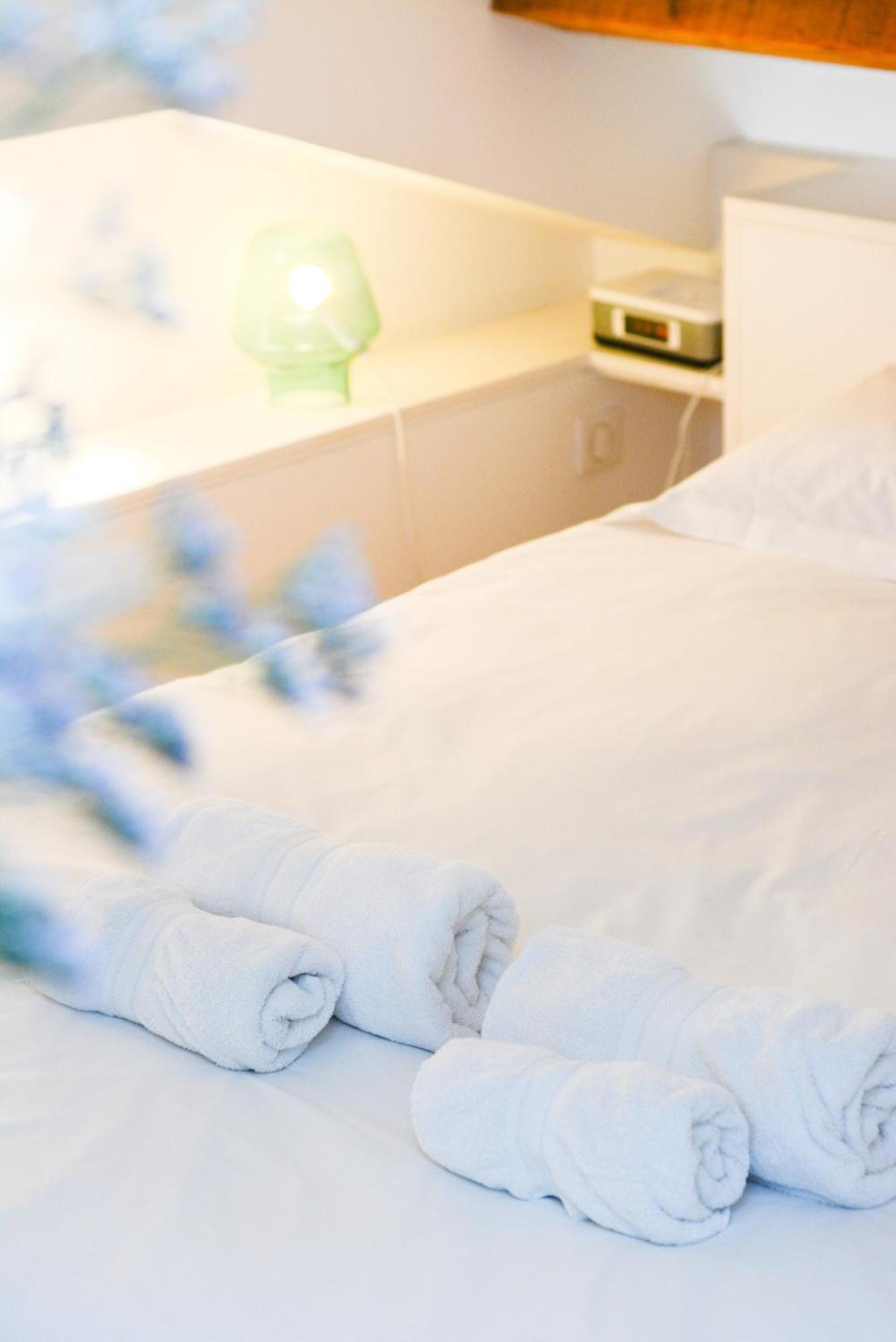 L'Hotel Particulier - Appartements D'Hotes Nancy Luaran gambar